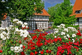 Salzgitter-Bad - Rosengarten